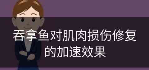 吞拿鱼对肌肉损伤修复的加速效果